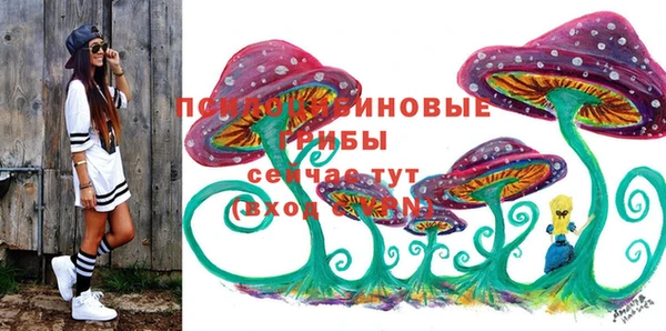 экстази Арсеньев
