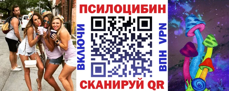 хочу   OMG зеркало  Галлюциногенные грибы Cubensis  Протвино 